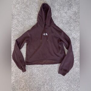 The North Face Women's Dark Brown Hoodie